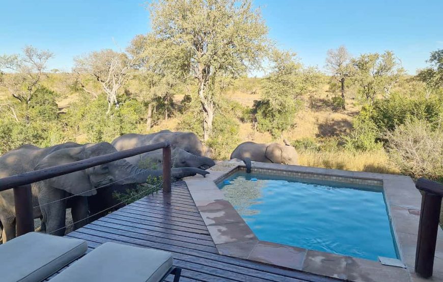 Makubela Suites