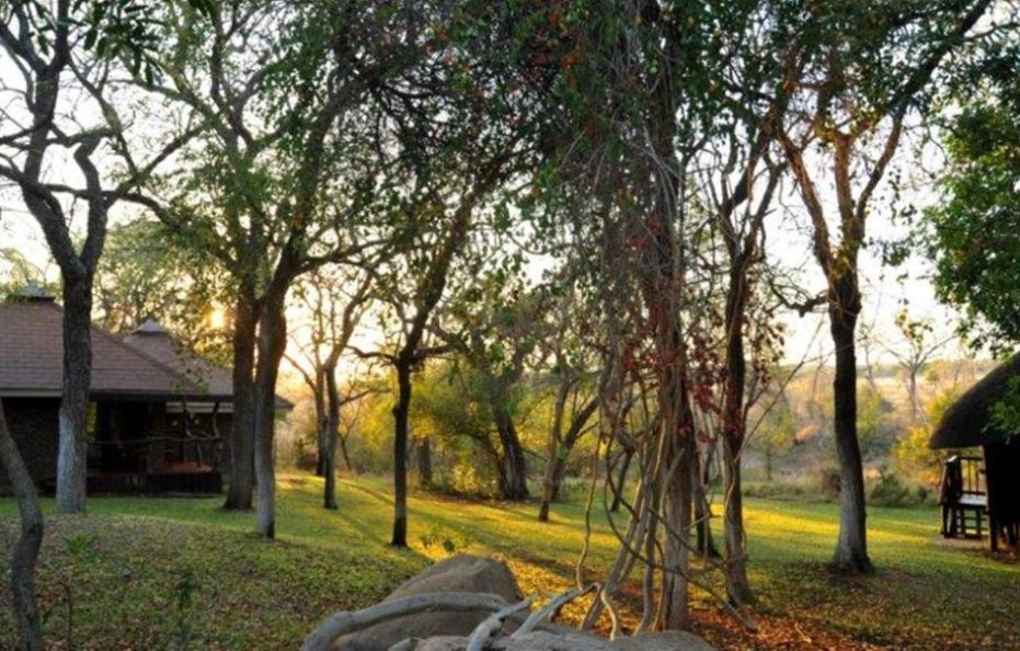 Idube Game Reserve