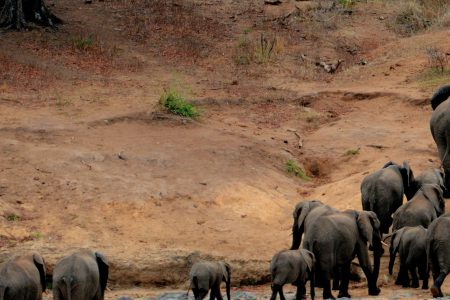 3-Day Kruger Safari & Panorama Route Tour