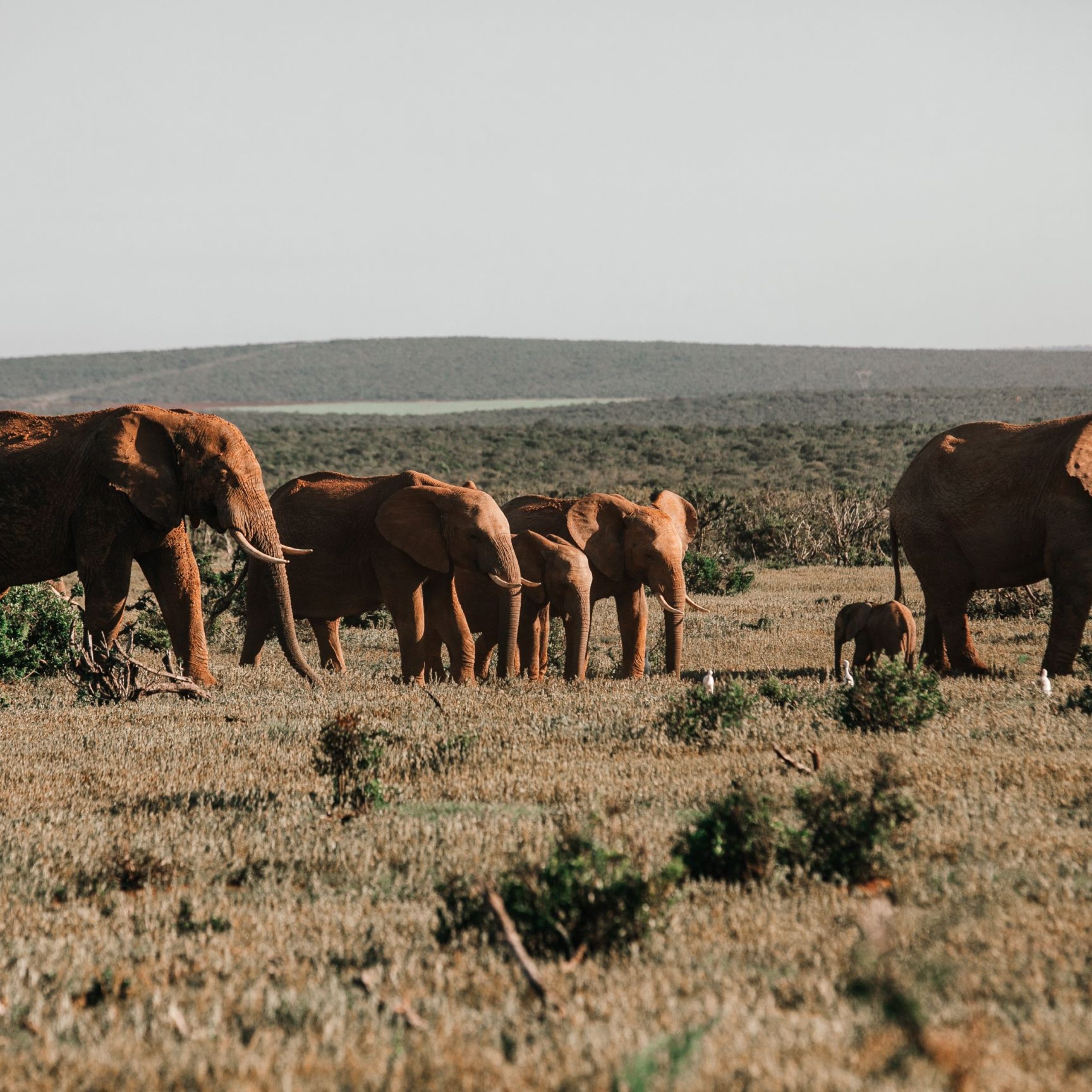 The Best Time to Visit Kruger National Park: A Complete Travel Guide